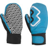 SB Mitten