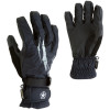 Sessions X-Ray Gore-Tex Glove - Men's