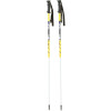 Surface Skullcandy Collab Ski Pole