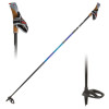 Elite Ski Pole