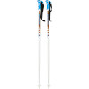 Sonic Ski Pole