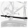 Thule Prologue Bike Mount