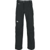 The North Face Apex Trekking Pant - Men's