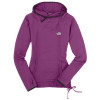 The North Face Chamois Hooded Sweatshirt - Women's