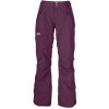 The North Face Freedom Insulated LRBC Pant - Women's