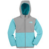 The North Face Denali Hooded Fleece Jacket - Girls'