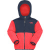 Denali Hooded Fleece Jacket - Toddler Boys'