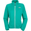 The North Face Cipher Softshell Jacket - Women's
