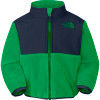 Denali Fleece Jacket - Infant Boys'