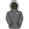 McMurdo Down Parka - Toddler Boys'
