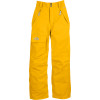 Freedom Insulated Pant - Boys'