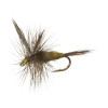 Fly Fishing