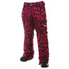 Volcom Timber Insulated Pant - Women's