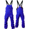 Volcom Palin TDS Overall Pant - Men's