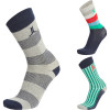 Figaro Sock - 3-Pack