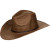 Chestnut, M