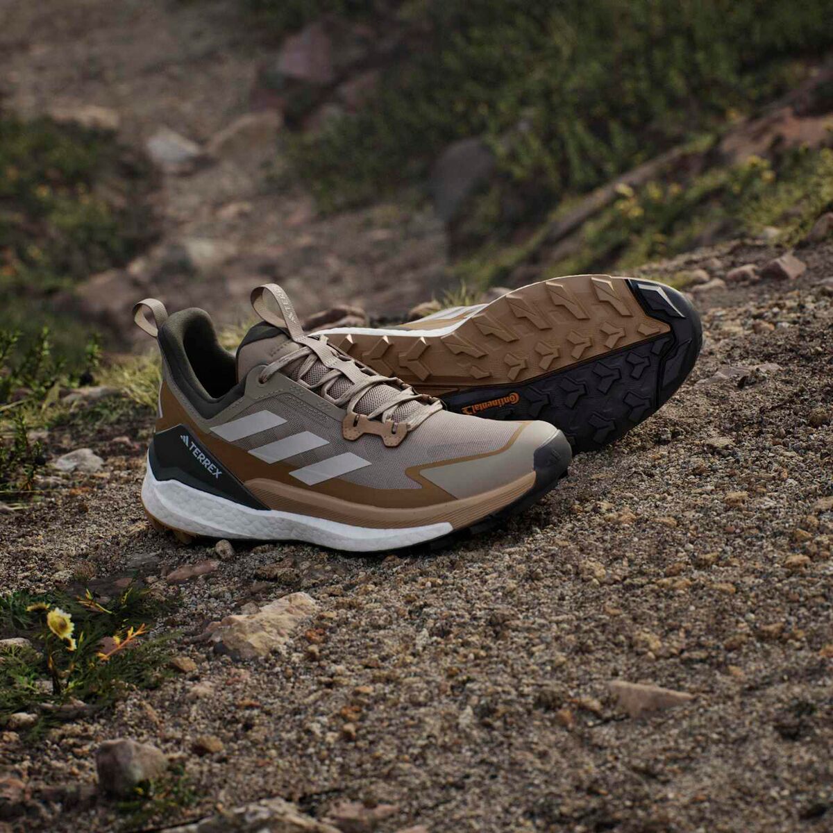 Adidas TERREX Free Hiker 2 Low Hiking Shoe - Men's - Footwear