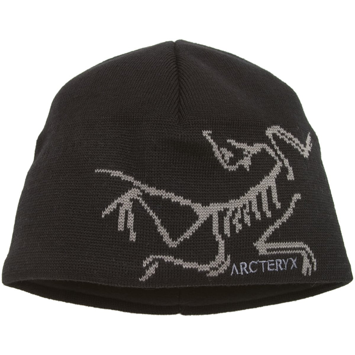 Arc teryx Bird Head Toque Accessories