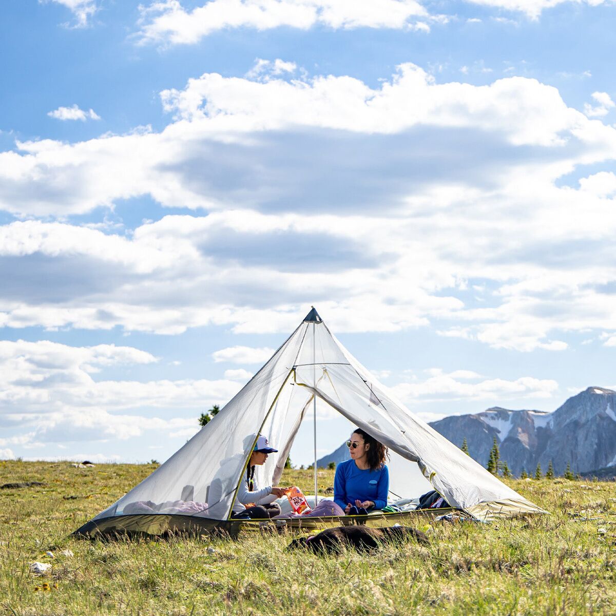 【美品】BIG AGNES　GOLD CAMP5＆メッシュインナー　ワンポール Big Agnes Gold Camp UL 5 Mesh Inner - Hike & Camp