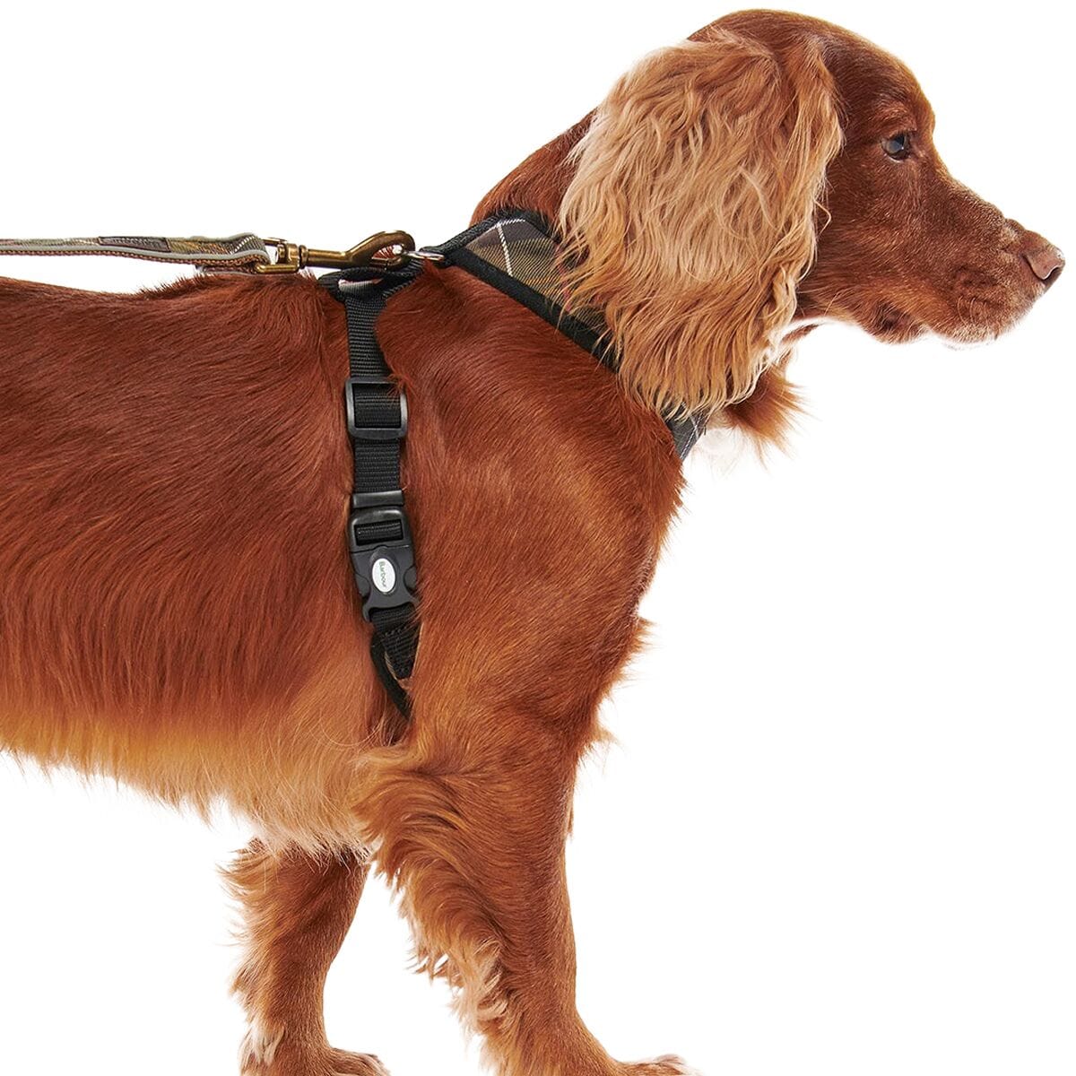 Barbour dog harness sale shop