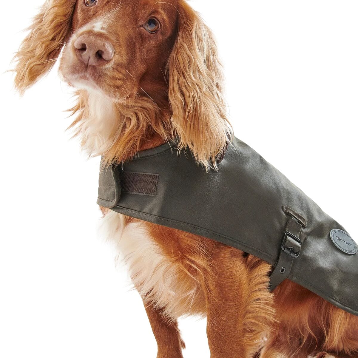 Barbour Wax Dog Coat Hike Camp