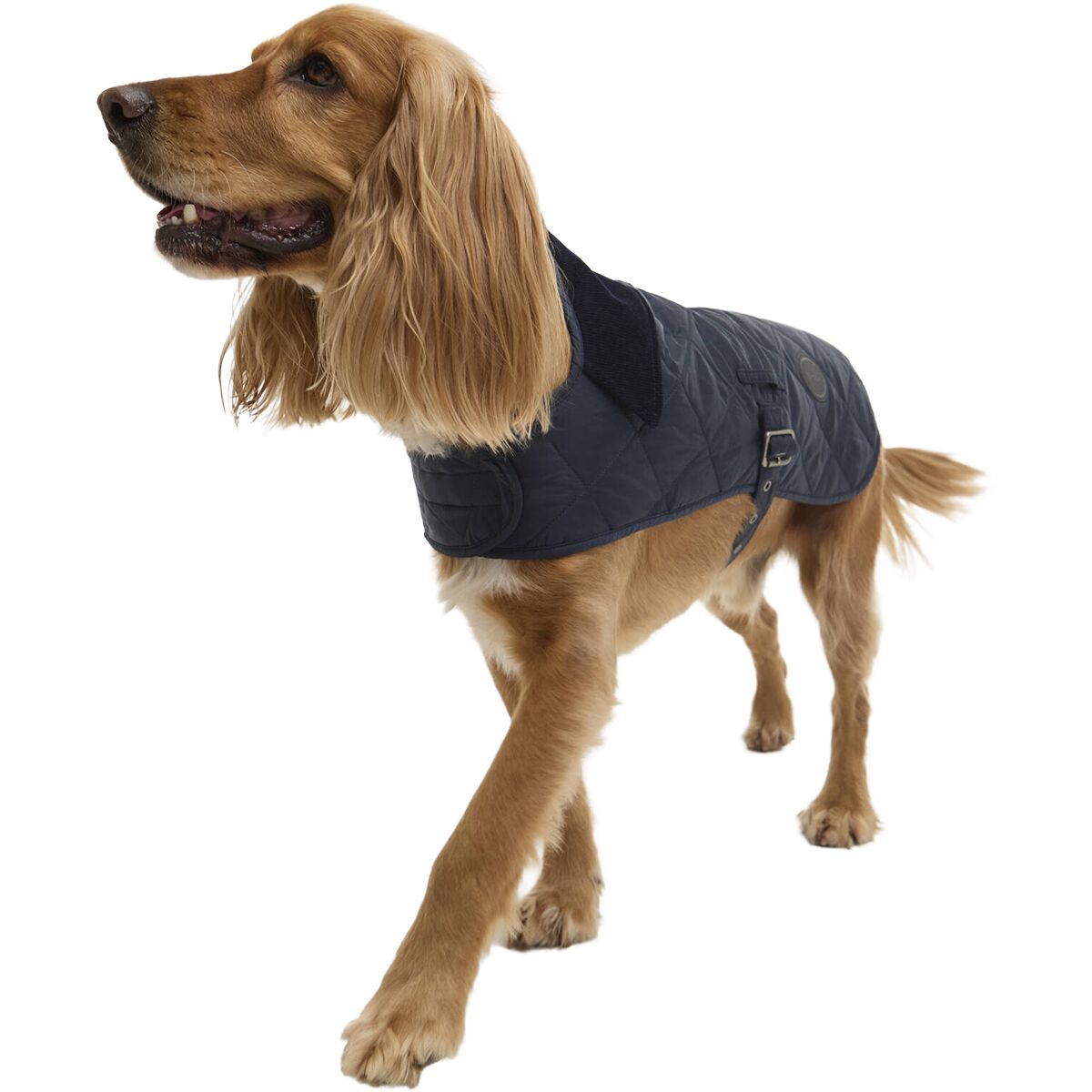 Image of Barbour Quilted Dog Coat Dark Navy, XL