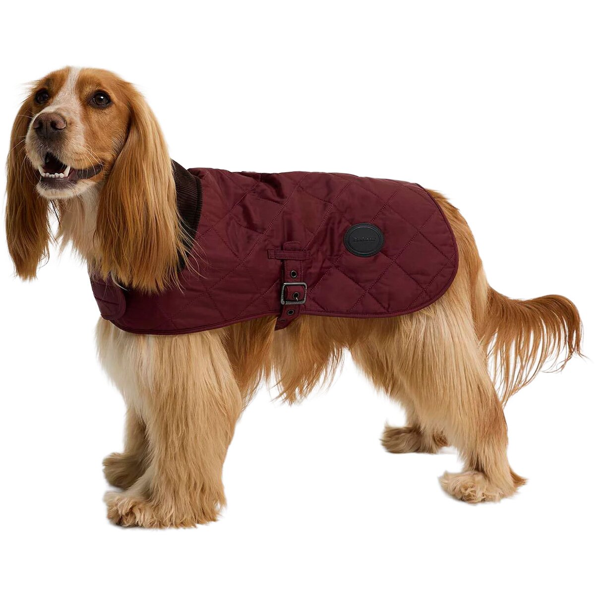 Image of Barbour Quilted Dog Coat Rosewood, S
