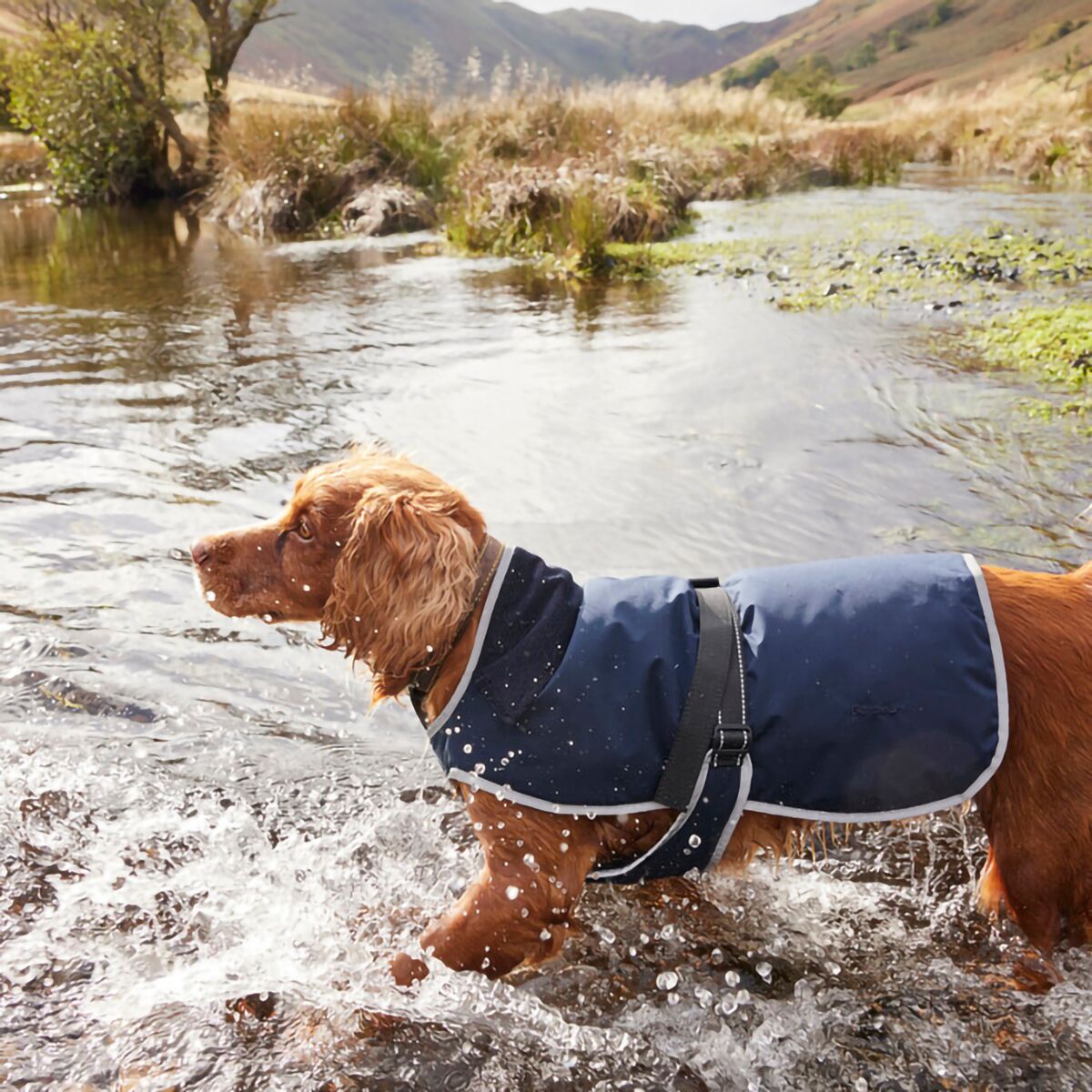 Barbour monmouth waterproof dog jacket Clearance