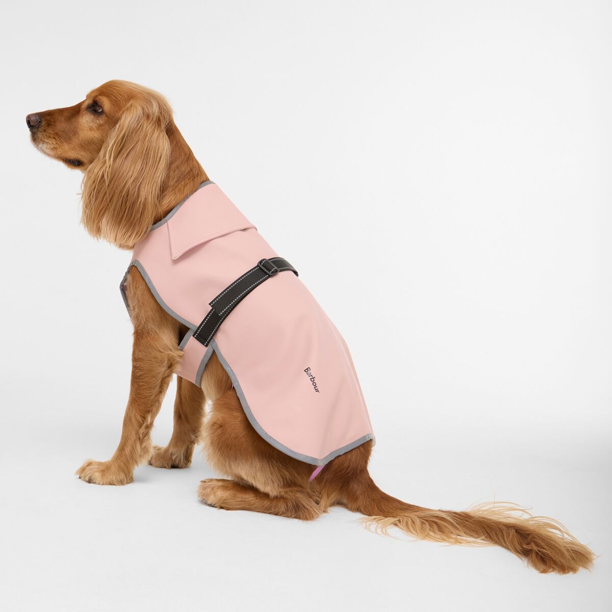 バブアー　ドックレインコート　Barbour Evie Waterproof Barbour Evie Waterproof Dog Coat - Hike & Camp