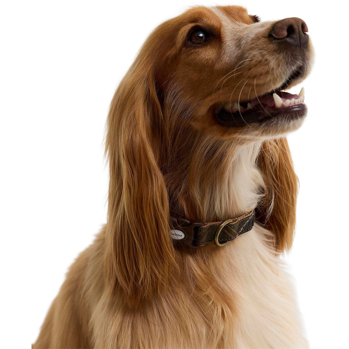 Image of Barbour Tartan & Webbing Dog Collar Classic Tartan, S