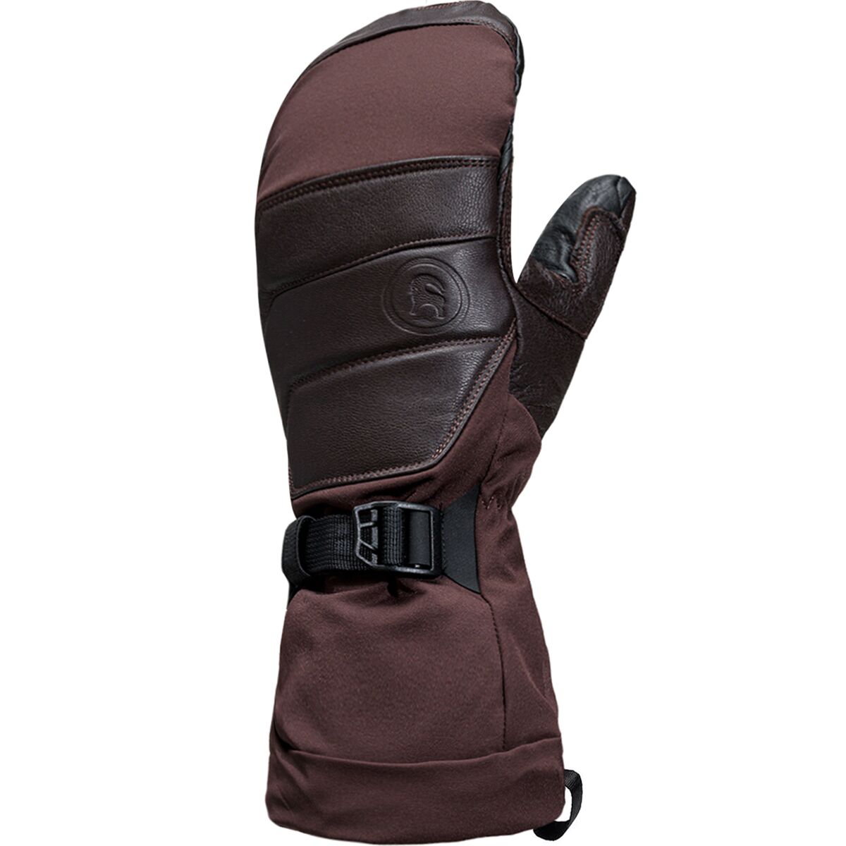 Backcountry GORE-TEX All-Mountain Mitten Cold Brew
