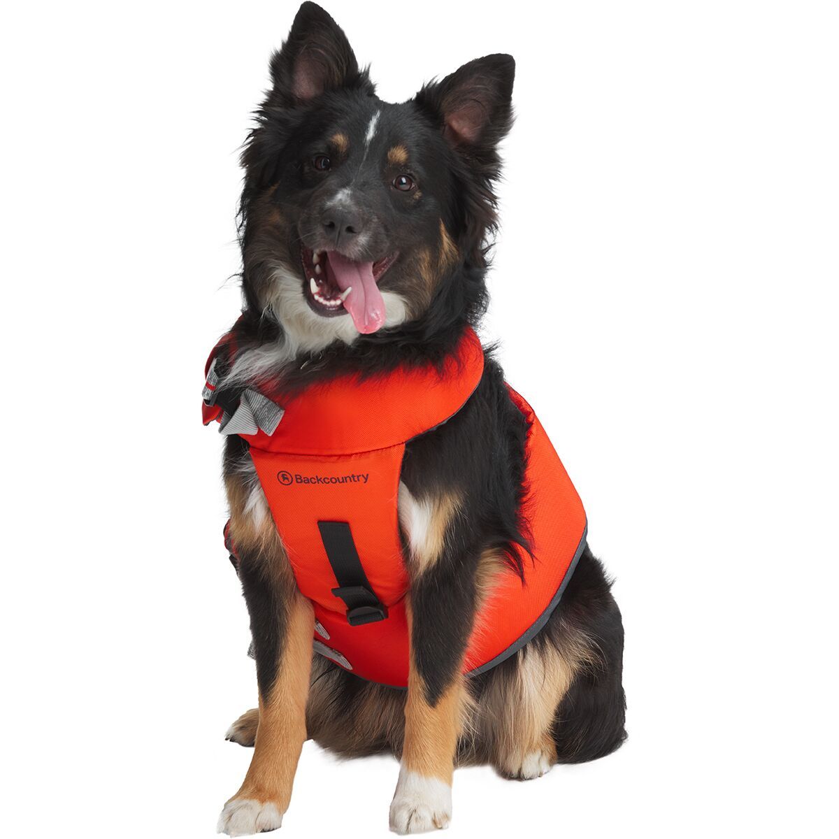 Backcountry x Petco The Dog Flotation Vest Spicy Orange, L