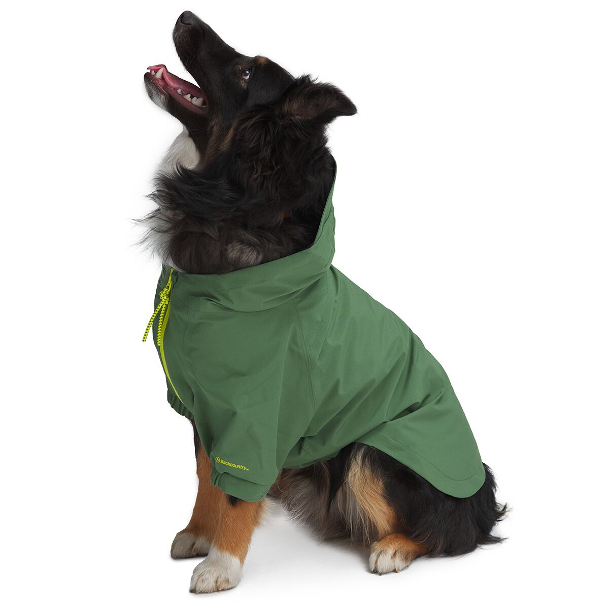 Backcountry x Petco The Dog Rain Jacket