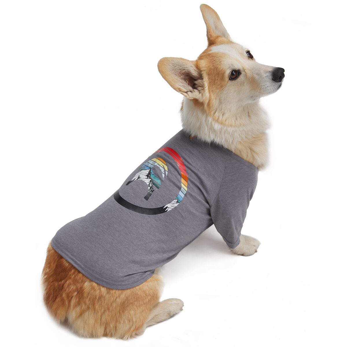 Backcountry x Petco The Sun Shield Dog T-Shirt