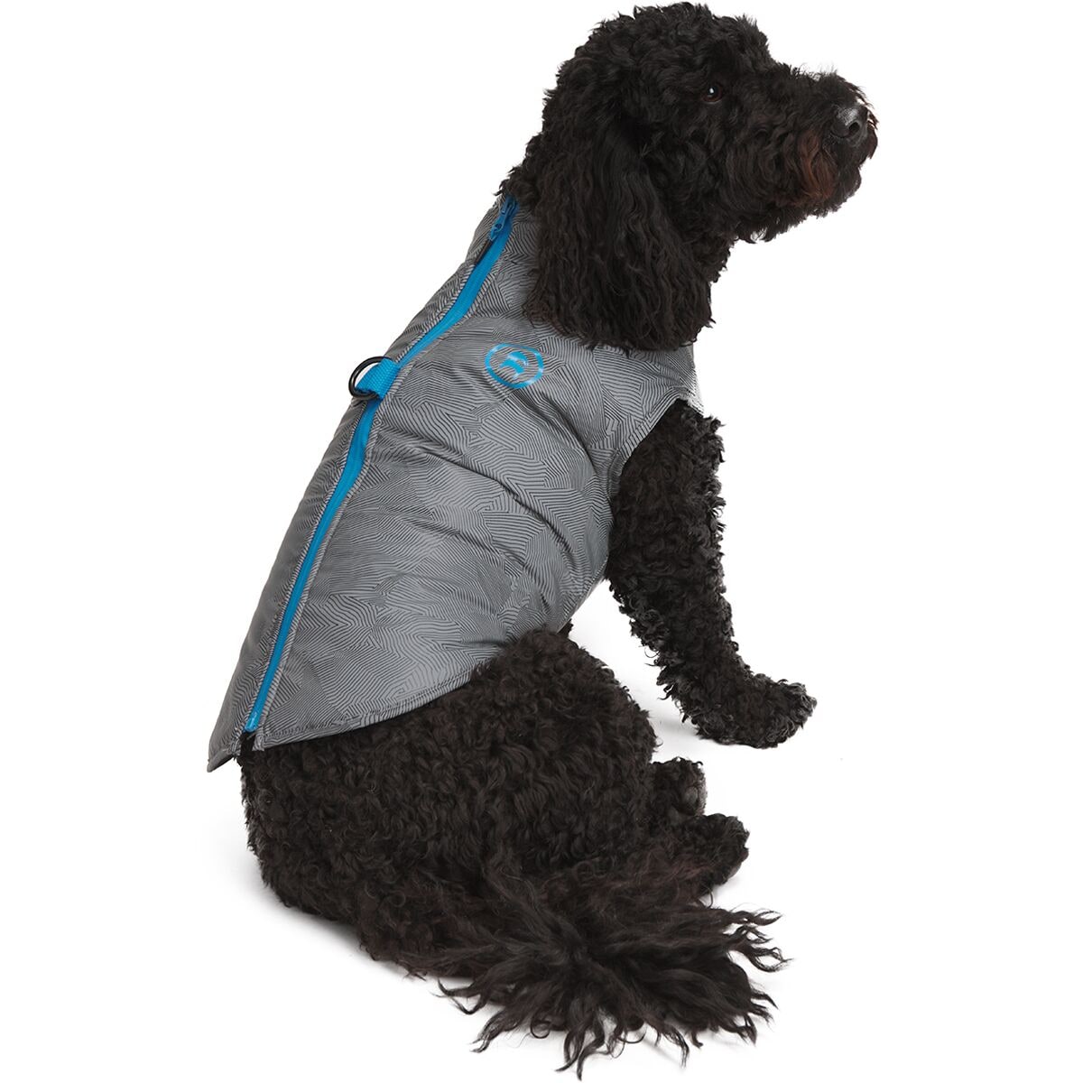 Backcountry x Petco The 2-in-1 Harness Jacket