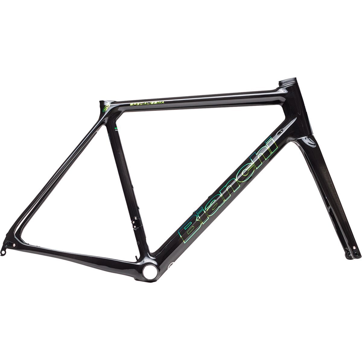 Bianchi Specialissima Disc Road Bike Frameset