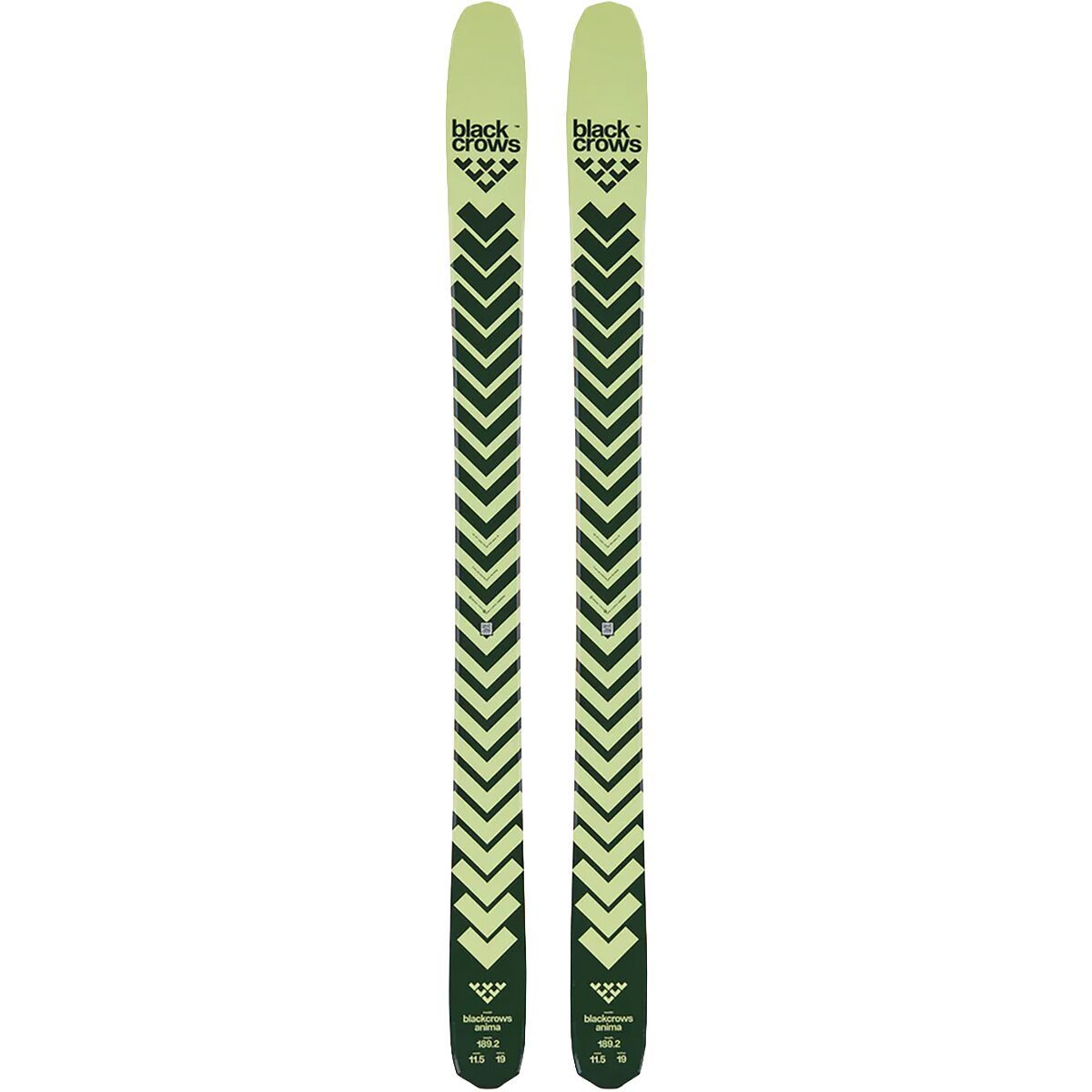 Image of Black Crows Anima Ski - 2026 Dark Green, 176cm