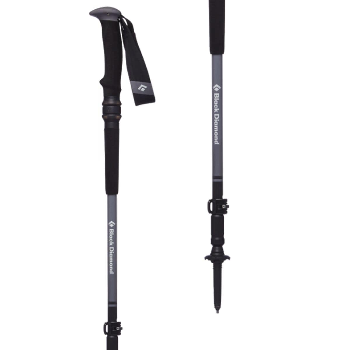 Eigenlijk supermarkt evenwichtig Black Diamond Trail Pro Shock Trekking Poles - Hike & Camp