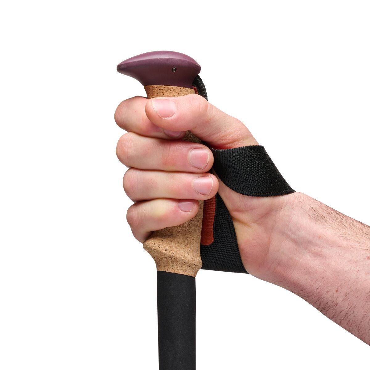 Black Diamond Trail Cork Trekking Poles - Hike & Camp