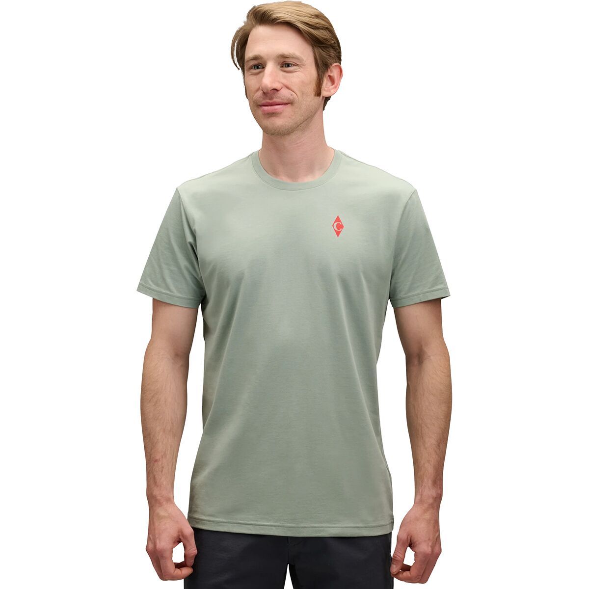 Image of Black Diamond Dragon Short-Sleeve T-Shirt - Men's Agave, XL