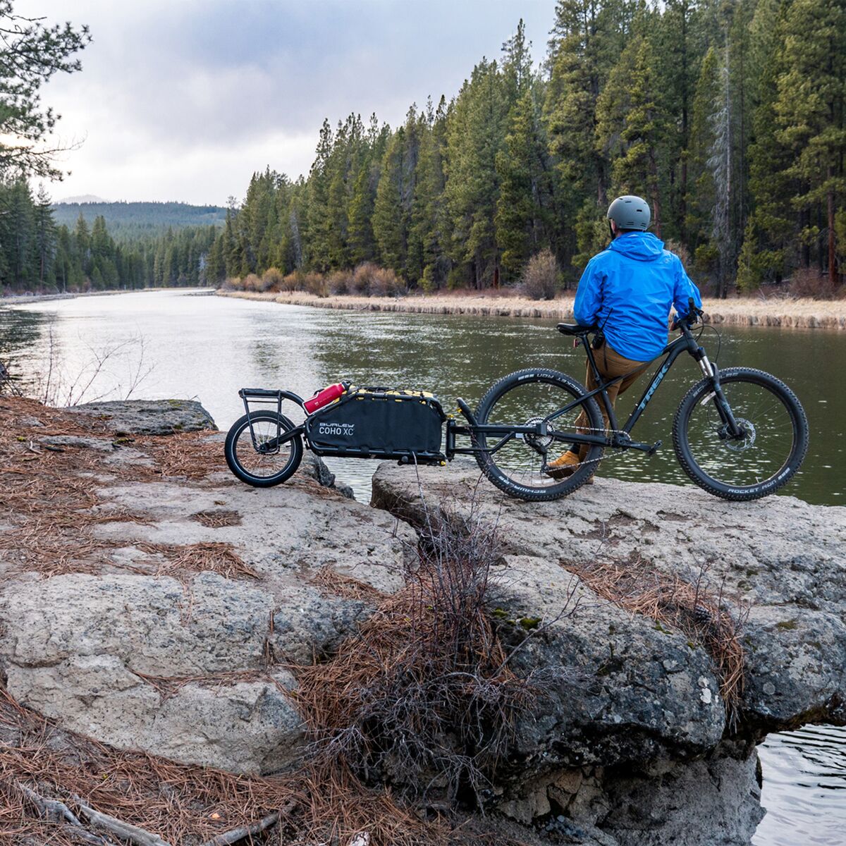 burley coho xc bike trailer, big selling UP TO 80 OFF rdd.edu.iq