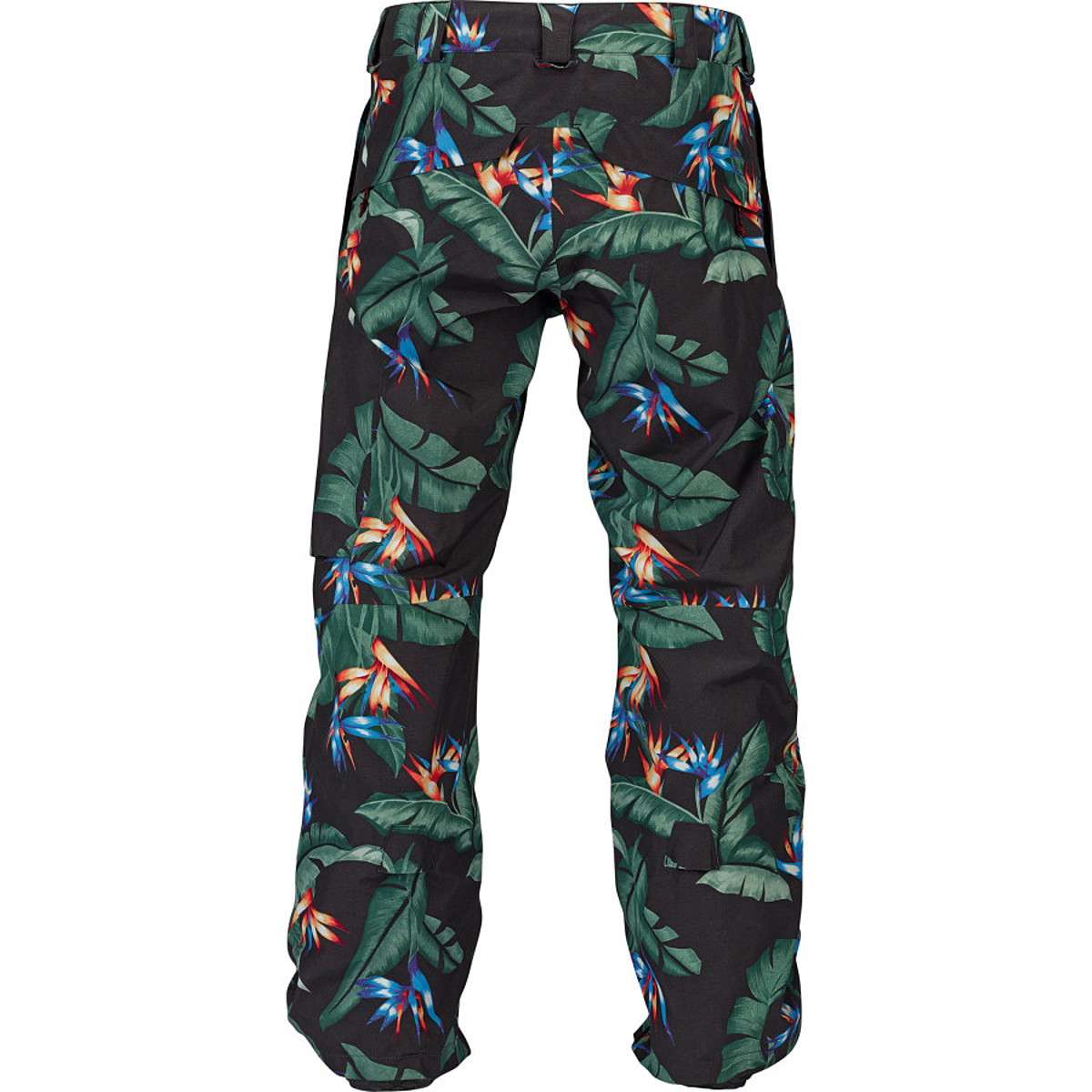 Burton AK 2L Cyclic Gore-Tex Pant - Men's - Clothing