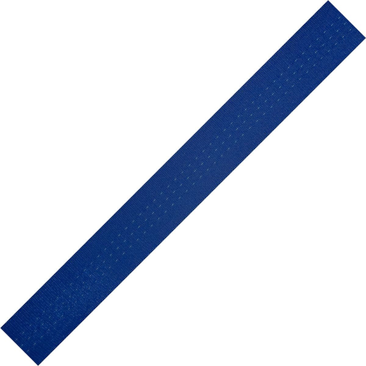 Image of BlueWater Tubular Climb-Spec 1in Webbing Disk Royal Blue, 30ft