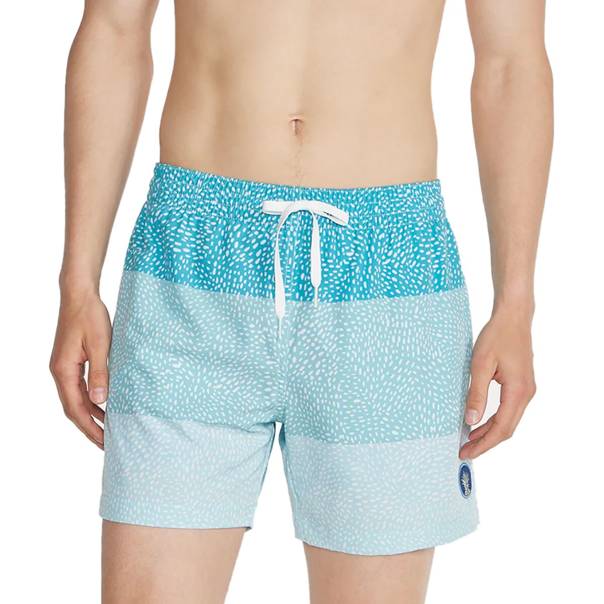 Chubbies The Whale Sharks 5.5in (Stretch + Liner) Swim Trunk - Men's
