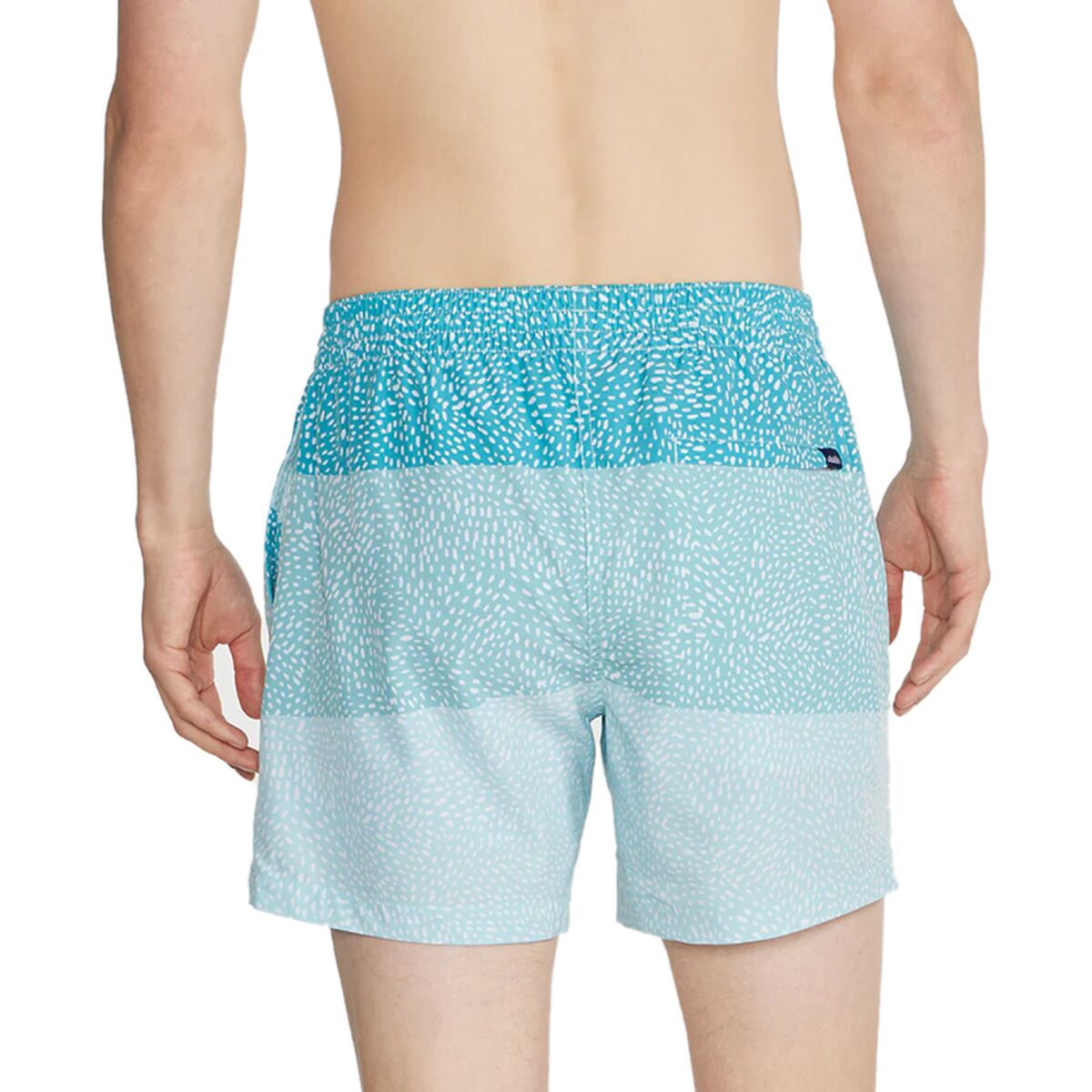 Chubbies The Whale Sharks 5.5in Stretch Liner Swim Trunk