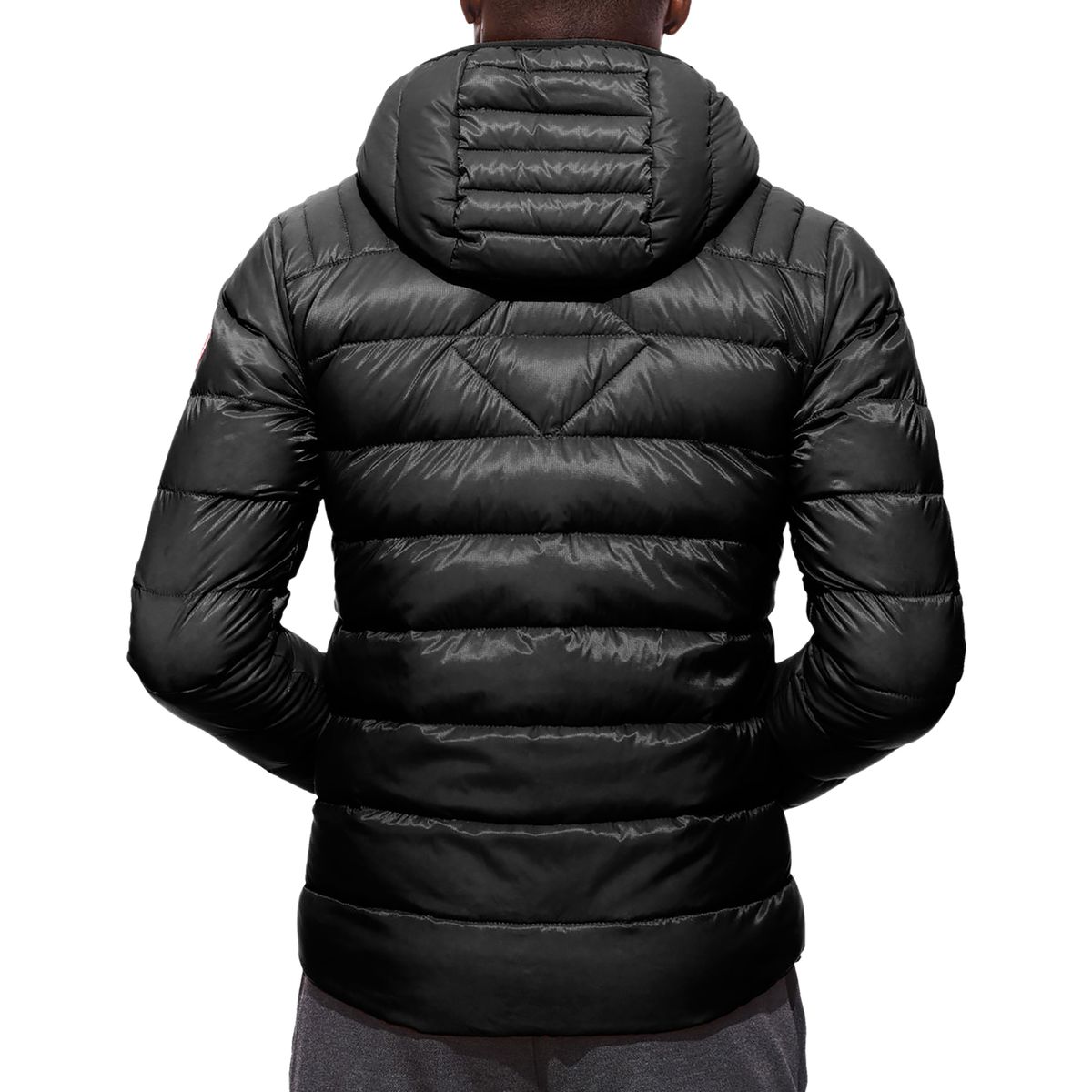 BLAA_D2.jpg