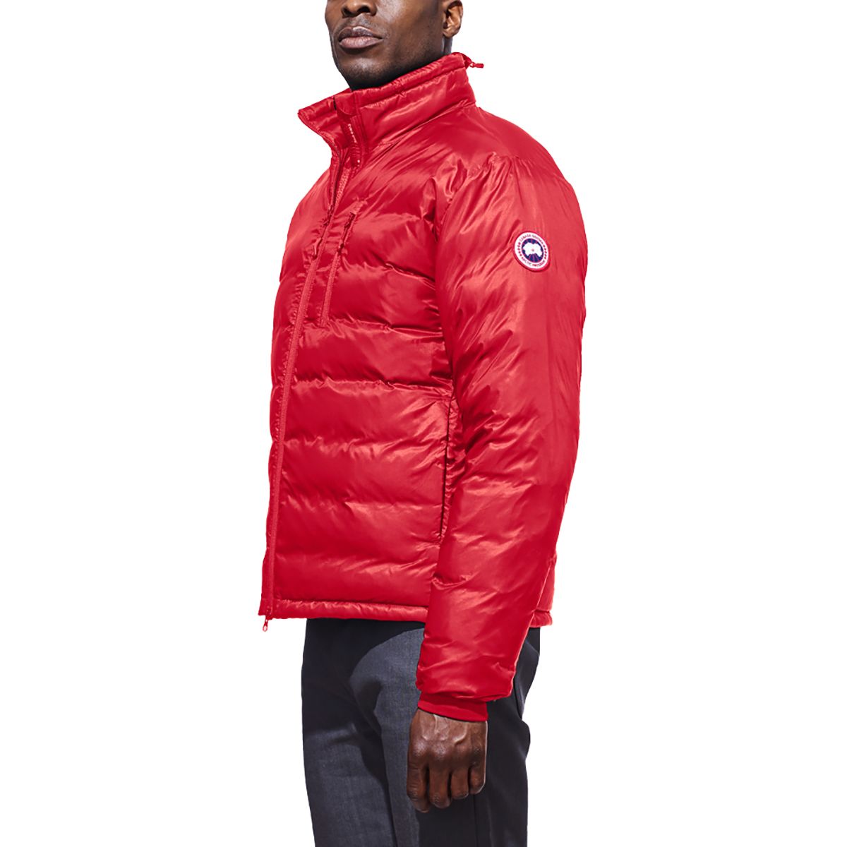 bubble canada goose