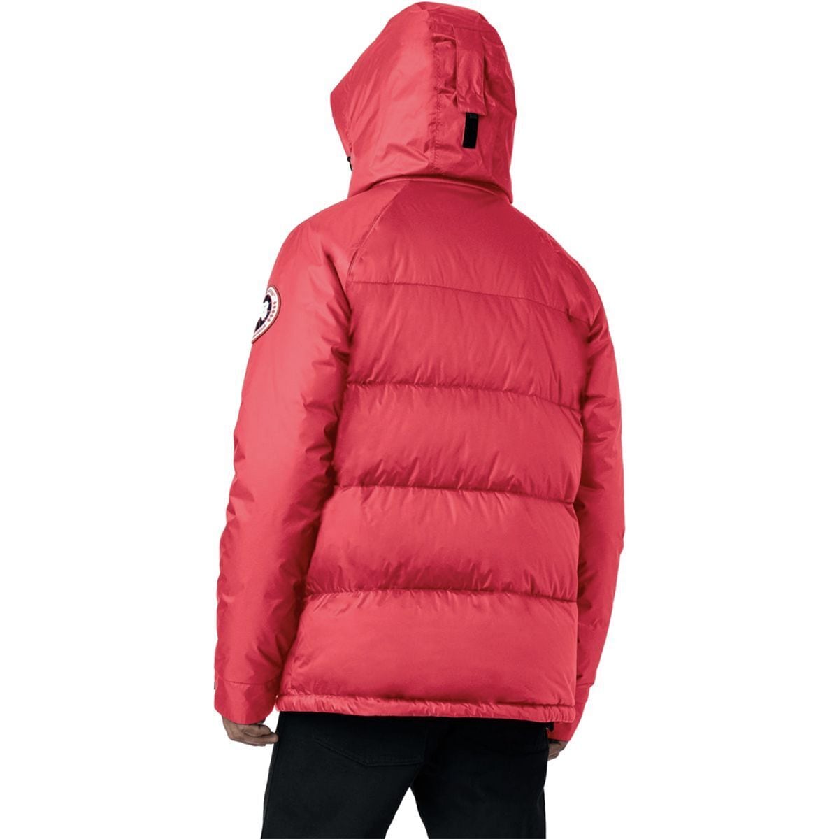 Canada goose hotsell men's approach jacket