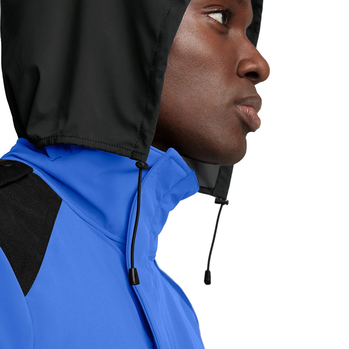ROYPBIBLU_D8.jpg