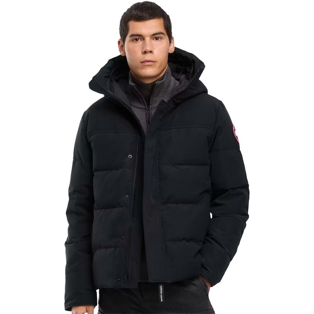 Image of Canada Goose Macmillan Parka - CR - Men's Black, L